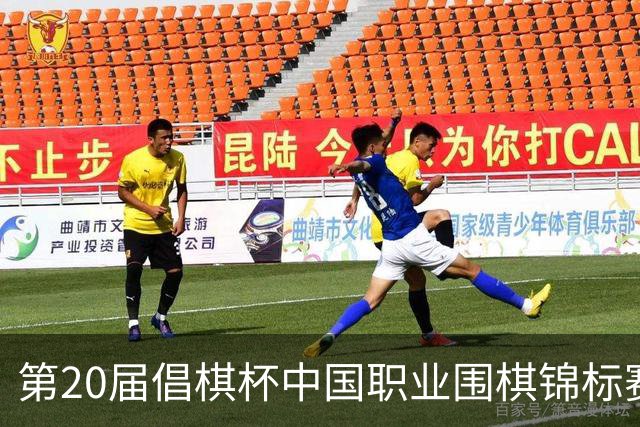第20届倡棋杯中国职业围棋锦标赛决赛在沪开幕